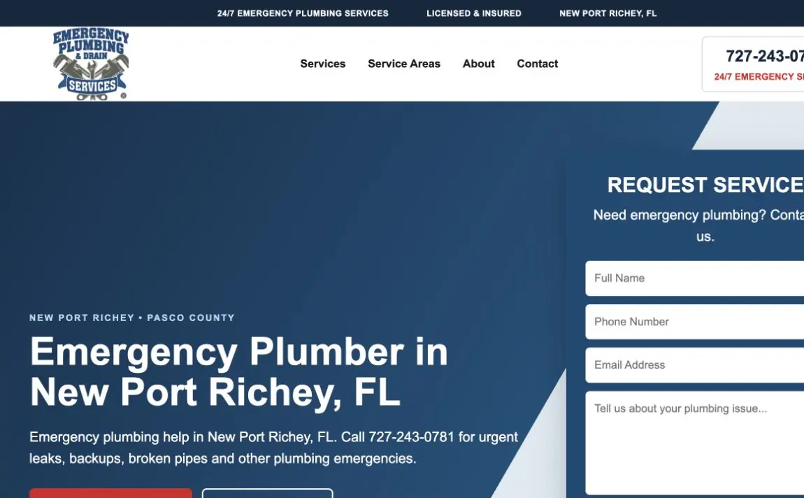 Emergency Plumbing And Drain Services services section